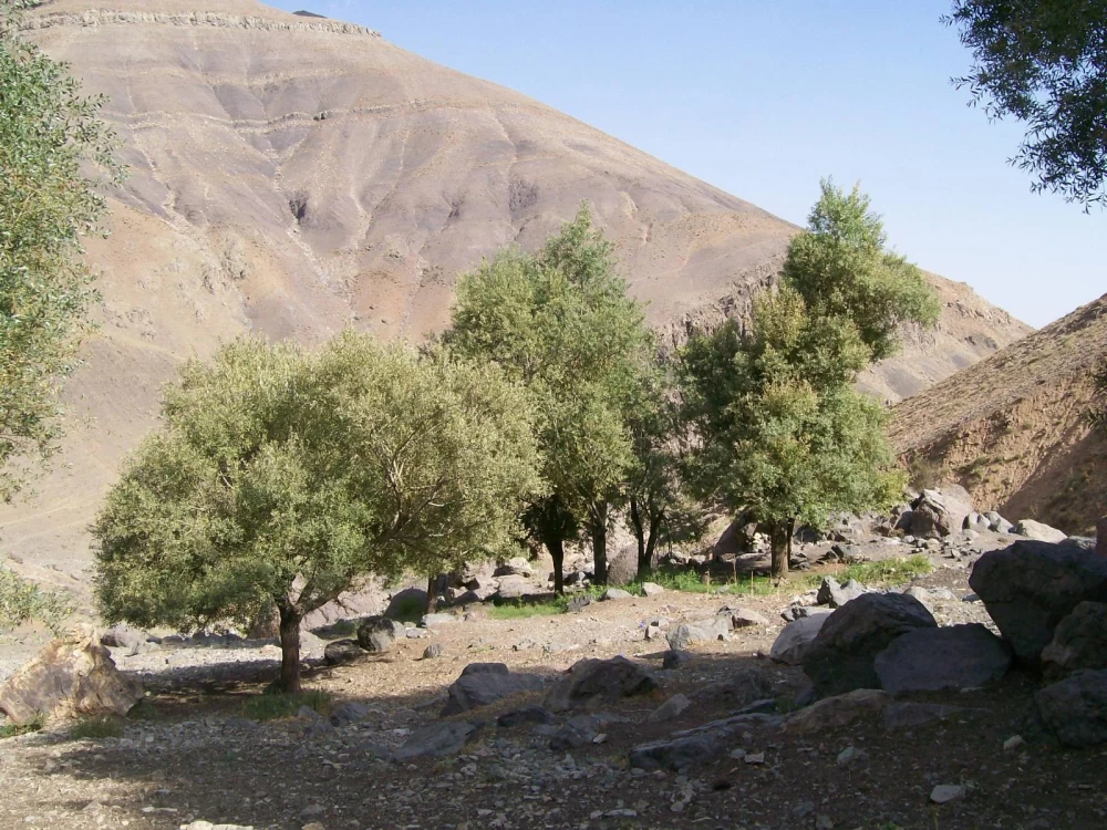 آبشار چال مگس