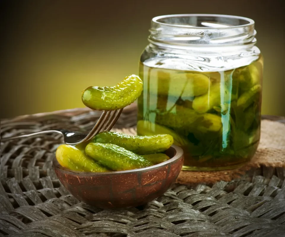 نکات خرید خیارشور