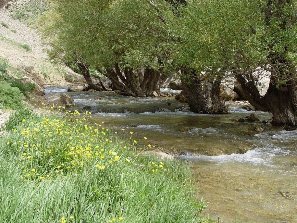 طبیعت آبشار پونه زار