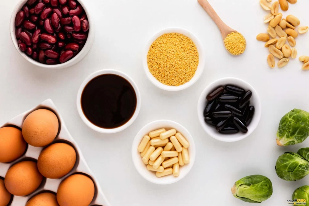 مواد غذایی دارای لیپید