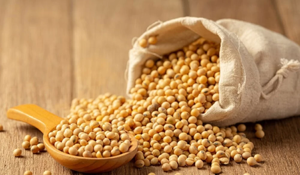 خواص پروتئین سویا