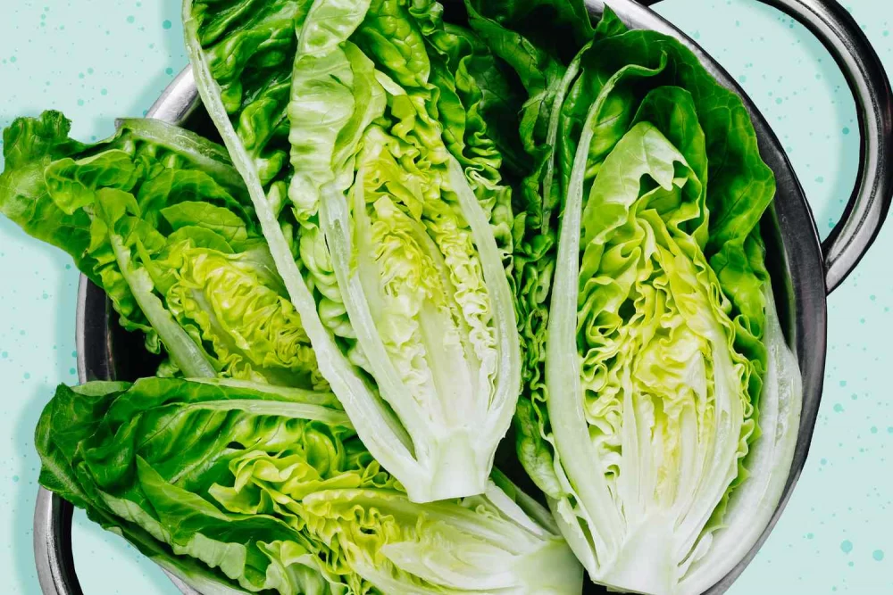 فواید کاهو برای بدن