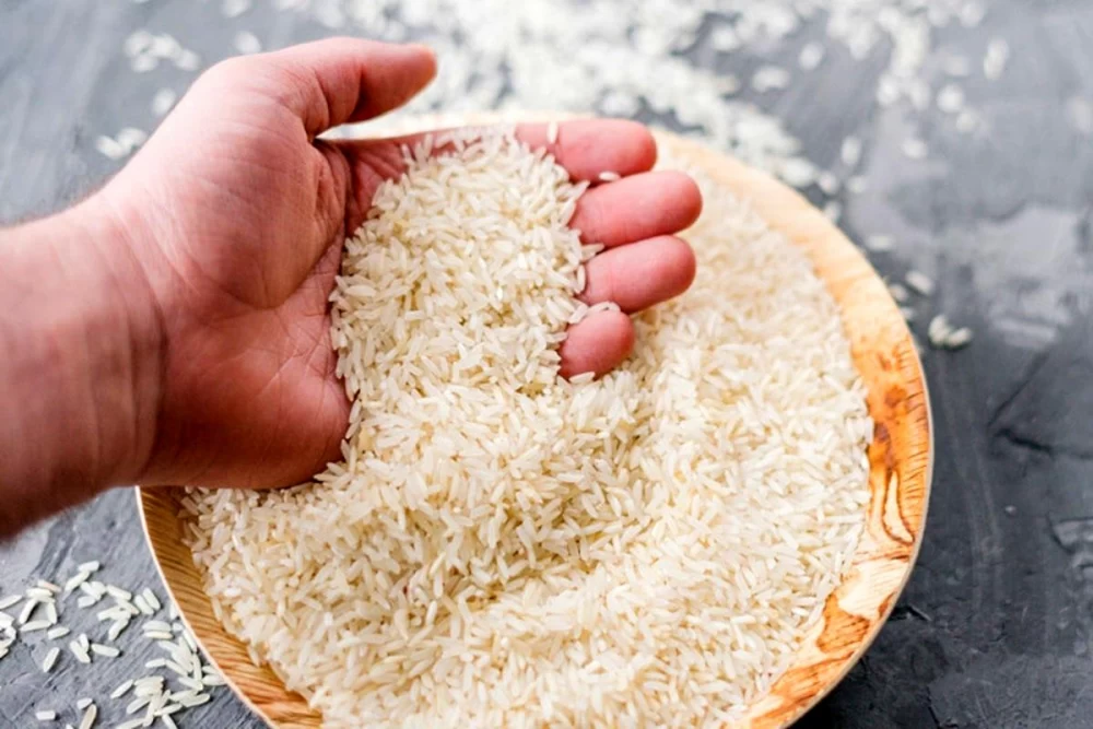 کاشت و برداشت برنج هندی