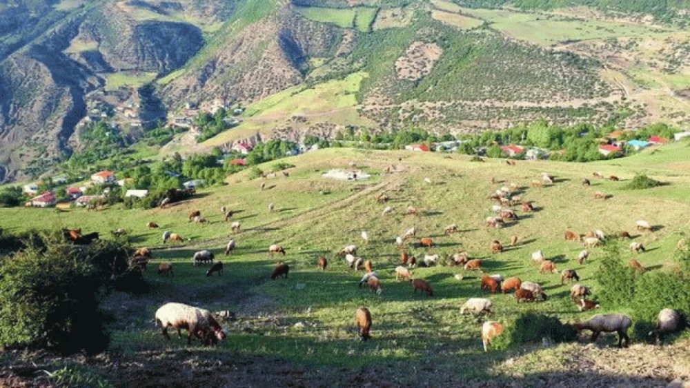 روستای برنت سوادکوه