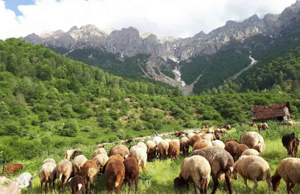 تصاویر روستای برنت سوادکوه