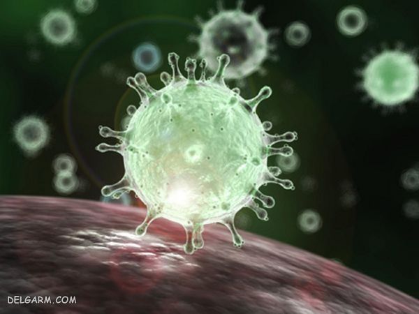 چگونه از ویروس کرونا پیشگیری کنیم؟