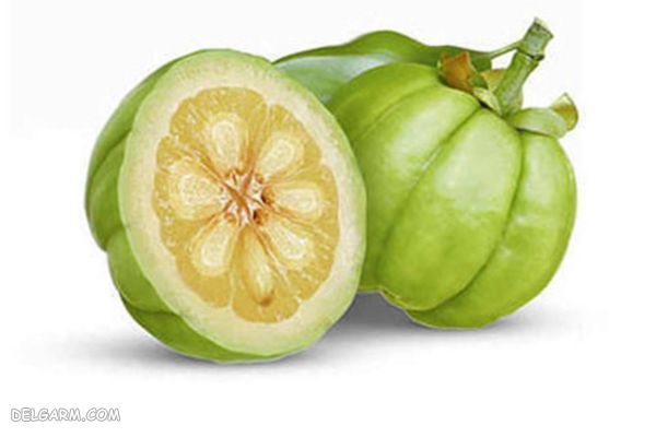 گارسینیا کامبوجیا