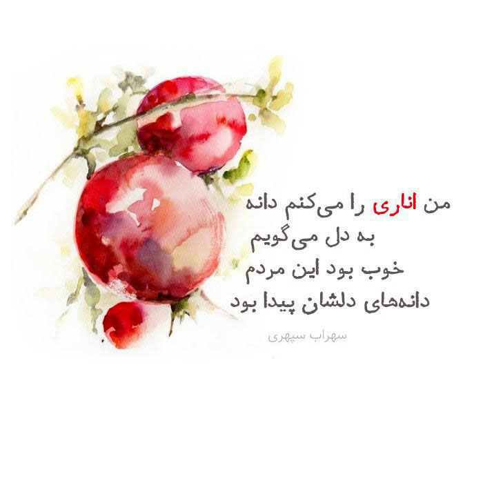 عکس شب یلدا بدون متن