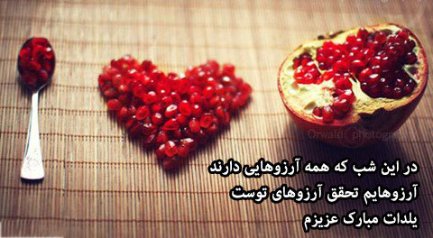 عکس شب یلدا بدون متن