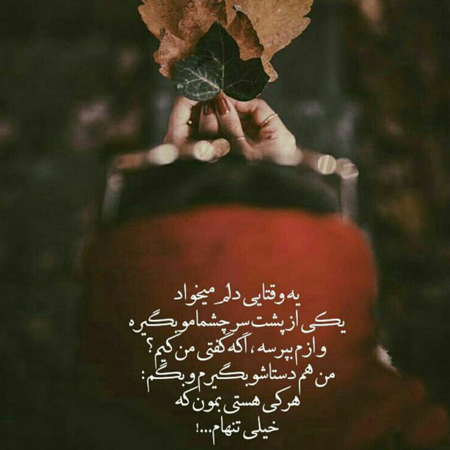 عکس شب یلدا بدون متن