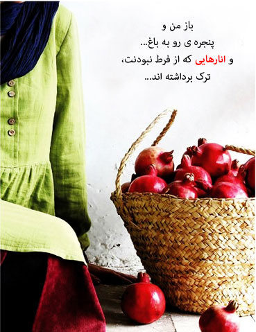 عکس شب یلدا بدون متن