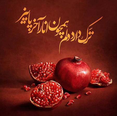 عکس شب یلدا بدون متن