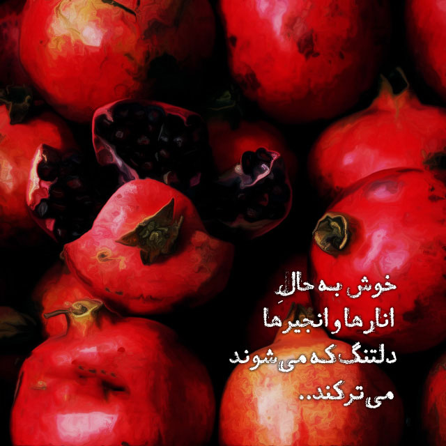 عکس شب یلدا بدون متن