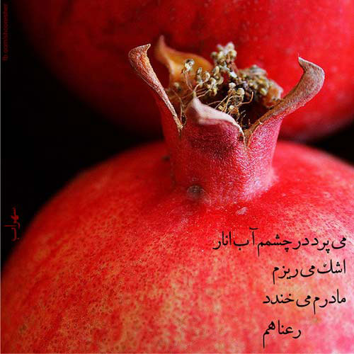 عکس شب یلدا بدون متن