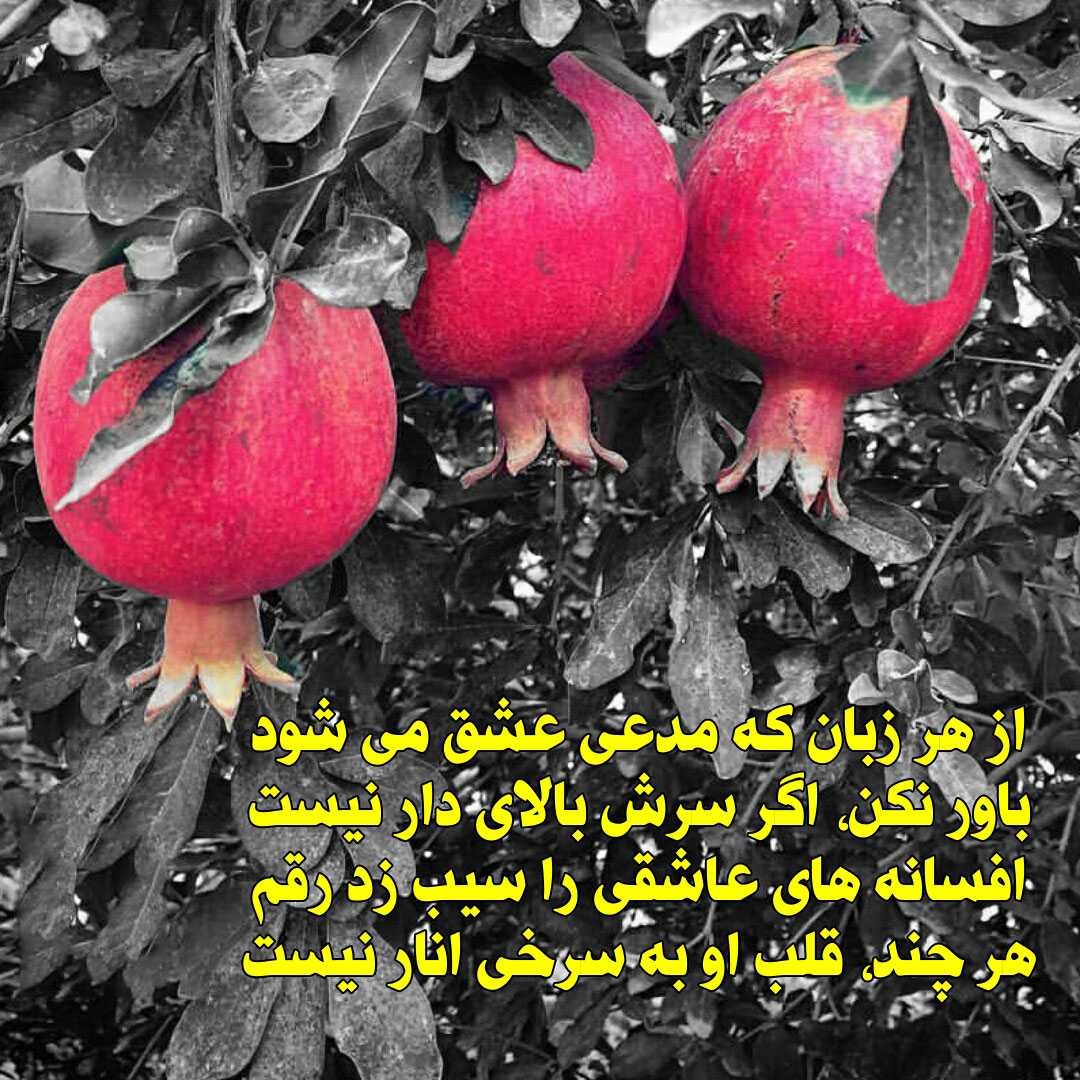 عکس برای شب یلدا دخترانه