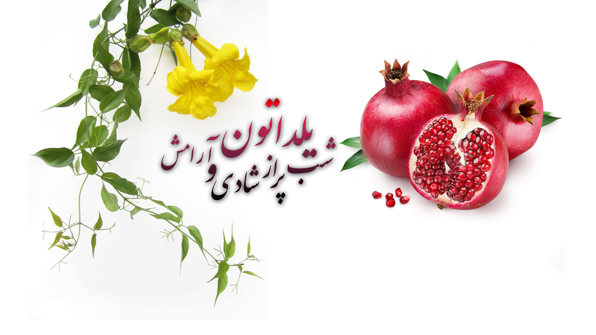 عکس برای شب یلدا دخترانه