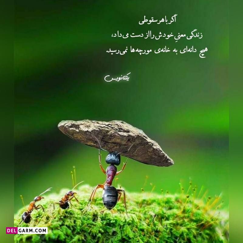 عکس نوشته برای پروفایل واتساپ
