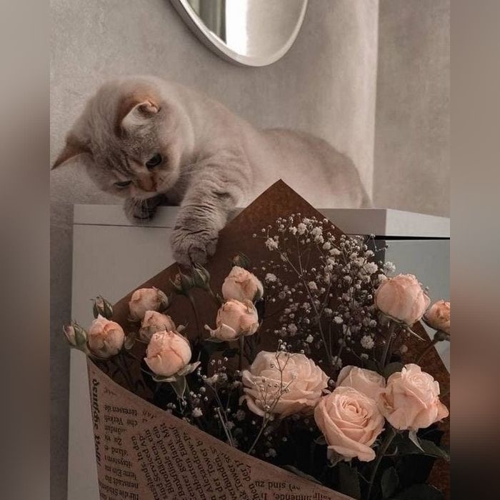 عکس پروفایل جدید