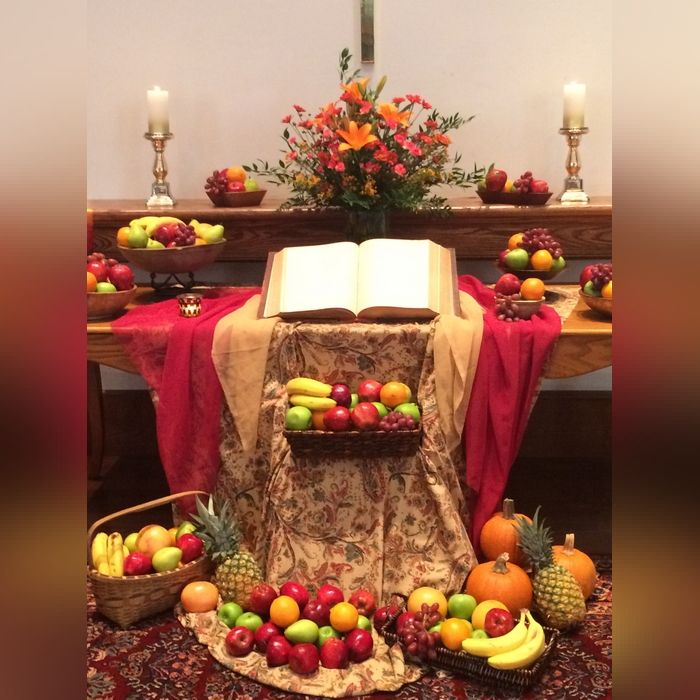 تزیین میوه شب یلدا برای مدرسه
