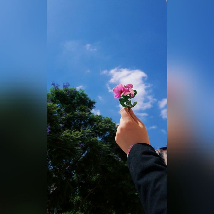 عکس پروفایل دخترونه جدید 2022