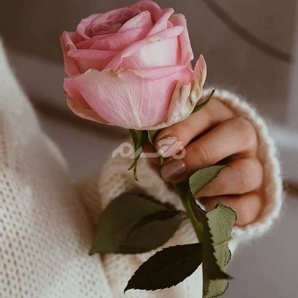عکس هنری برای پروفایل 1401 