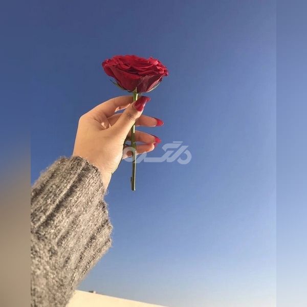 عکس هنری برای پروفایل 1401 