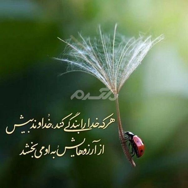 پروفایل خدا جدید ۱۴۰۲