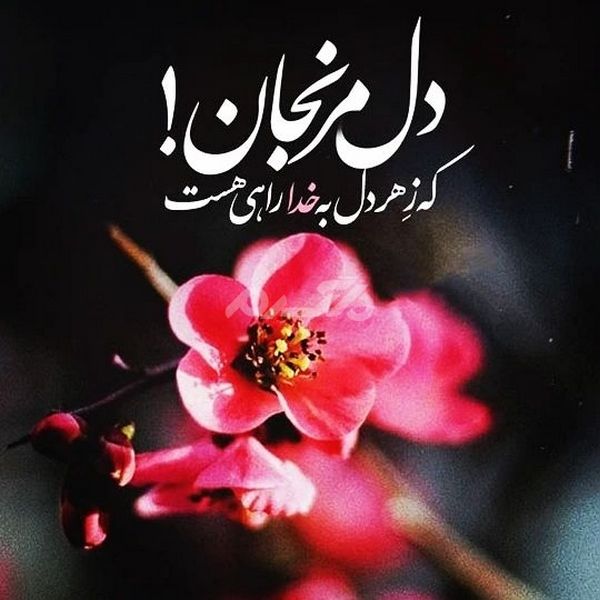 پروفایل خدا جدید ۱۴۰۲