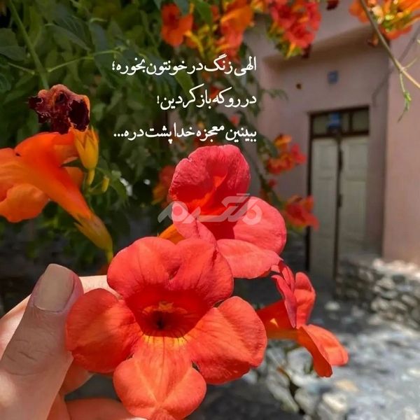 پروفایل خدا جدید ۱۴۰۲