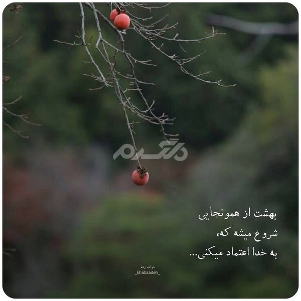 پروفایل خدا جدید ۱۴۰۲