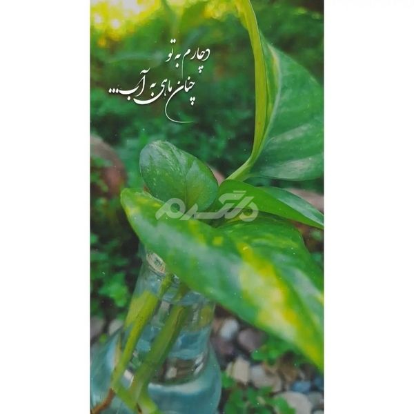 پروفایل خدا جدید ۱۴۰۲