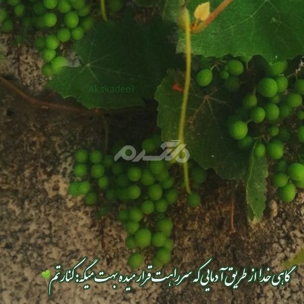 پروفایل خدا جدید ۱۴۰۲