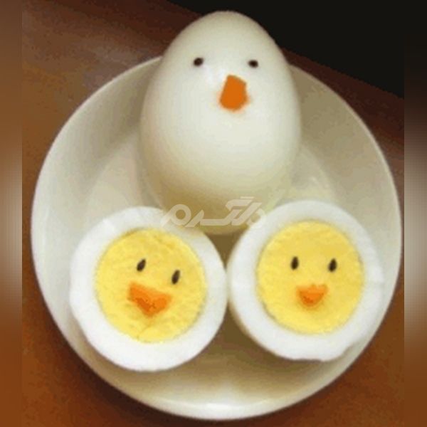 مدل تزیین تخم مرغ