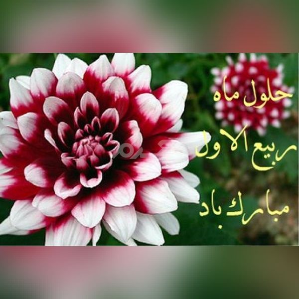 عکس پروفایل ماه ربیع الاول 1401 