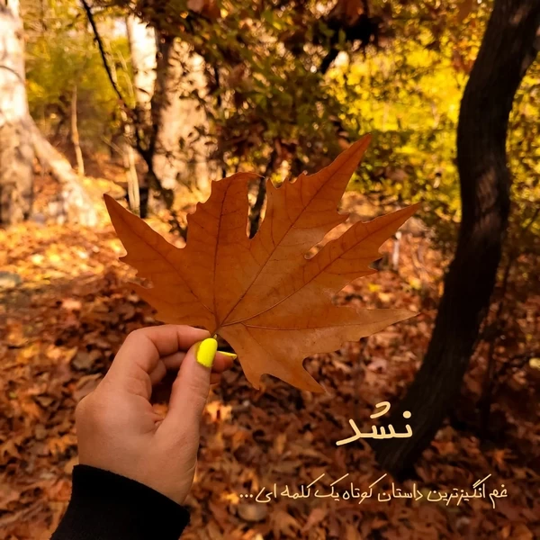 پروفایل جدید دخترانه 2023 | عکس پروفایل جدید دخترانه شیک | عکس دختر لاکچری برای پروفایل