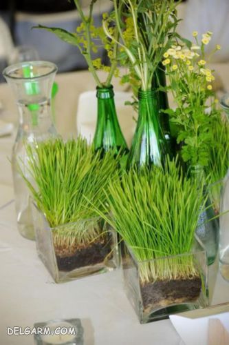 تزیین سبزه برای عید نوروز
