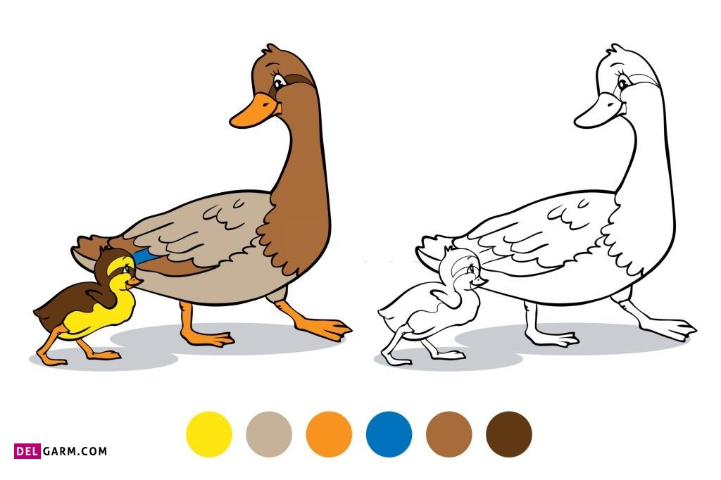 نقاشی اردک / نقاشی جوجه اردک / نقاشی و رنگ آمیزی اردک