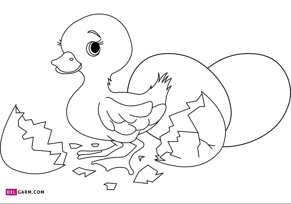 نقاشی اردک / نقاشی جوجه اردک / نقاشی و رنگ آمیزی اردک