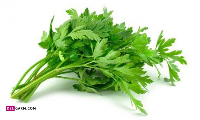 فرق گشنیز و جعفری