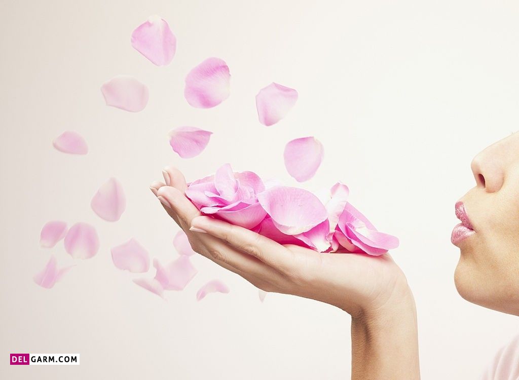 عکس گل برای پروفایل واتساپ