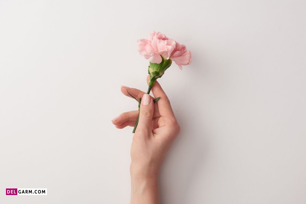 عکس گل برای پروفایل واتساپ