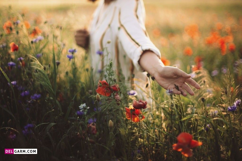 عکس گل برای پروفایل واتساپ