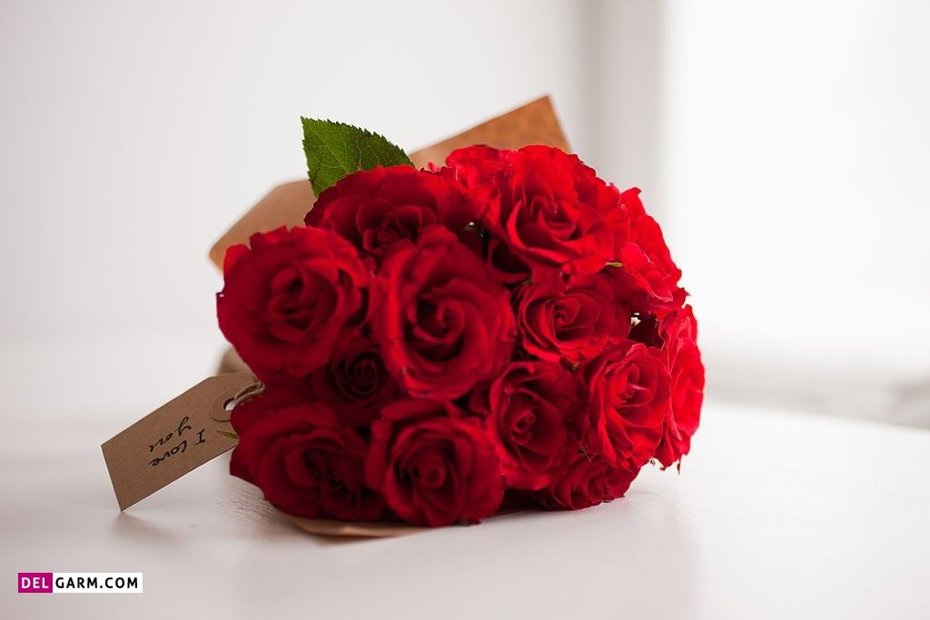عکس گل برای پروفایل واتساپ