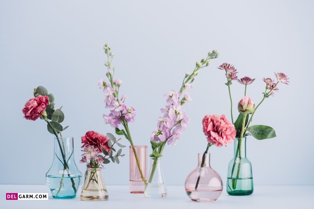 عکس گل برای پروفایل واتساپ