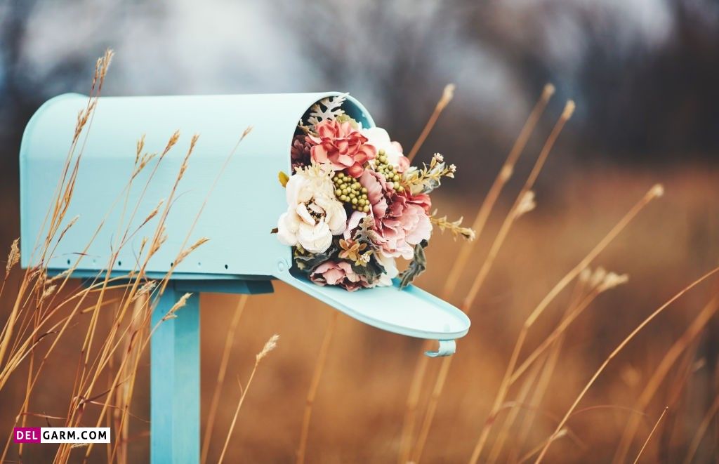 عکس گل برای پروفایل واتساپ