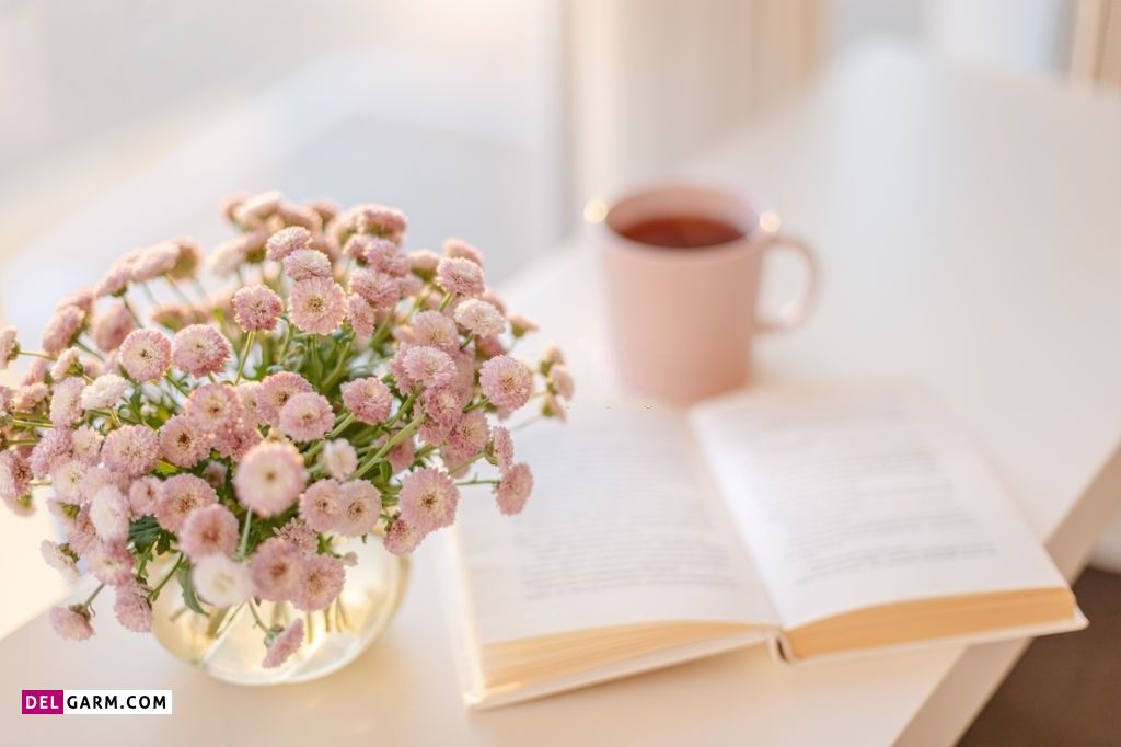 عکس گل برای پروفایل واتساپ