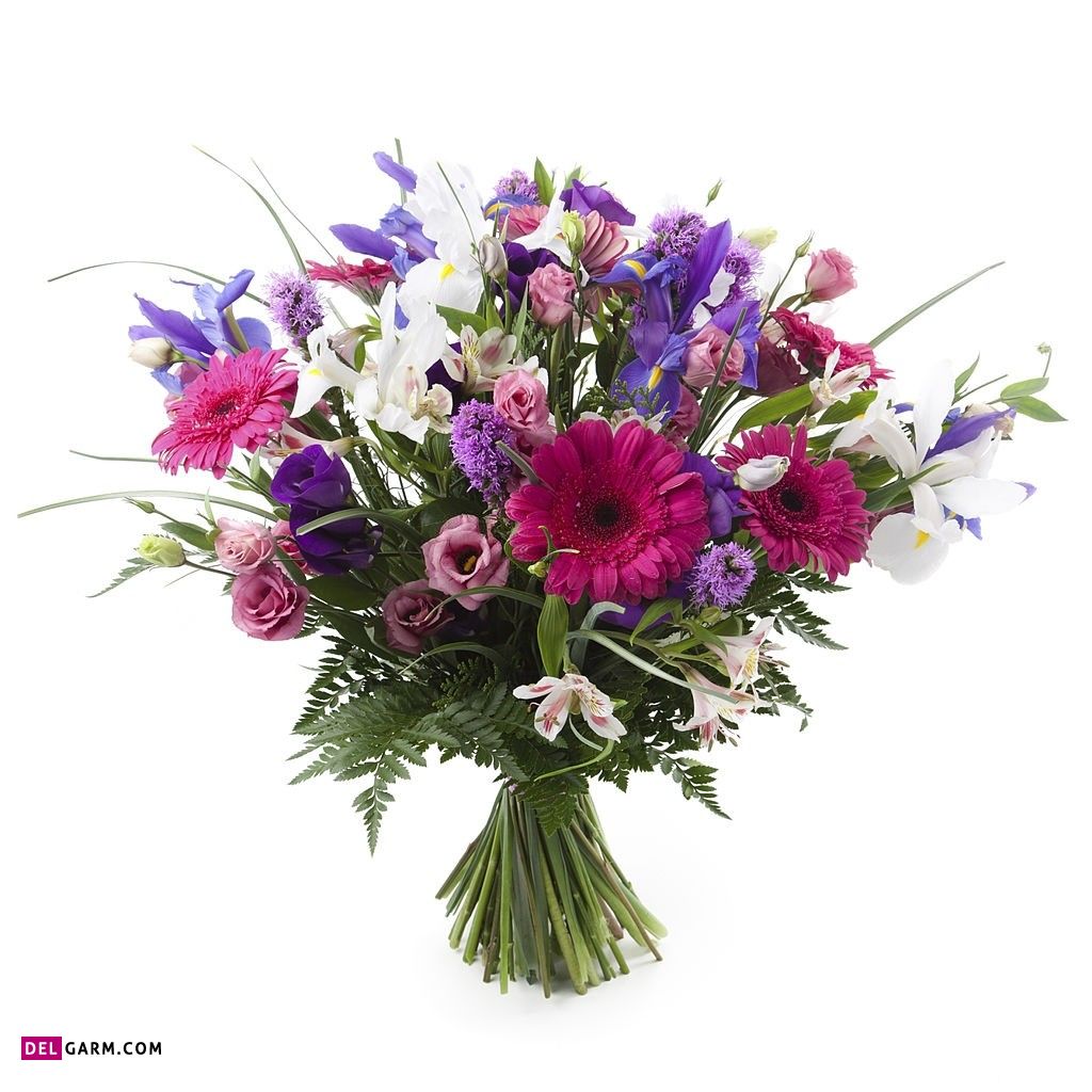 عکس گل برای پروفایل واتساپ