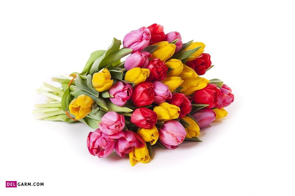 عکس گل برای پروفایل واتساپ