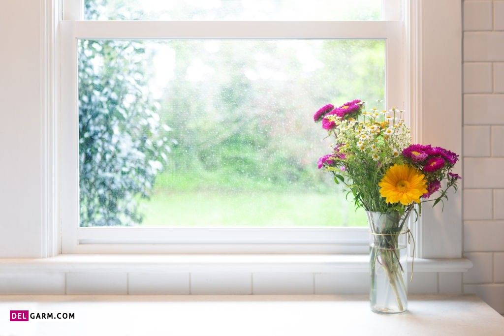 عکس گل برای پروفایل واتساپ