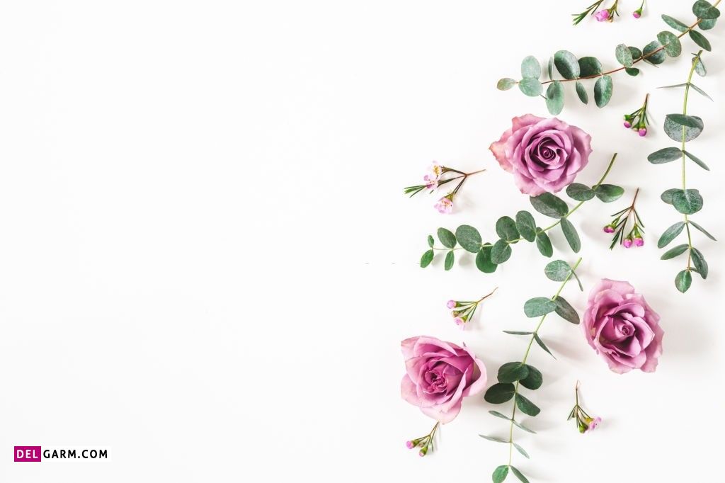 عکس گل برای پروفایل واتساپ
